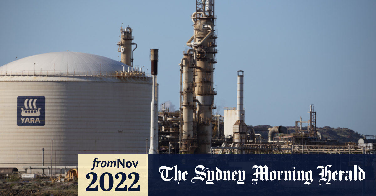 Ammonia Shortage 2025